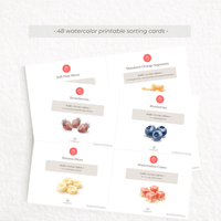 Build-A-Snack™ Montessori Snack Sorting Cards for Toddlers
